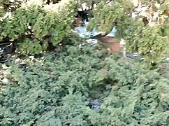 horny girl caught fingering shaved pussy outdoors in public park