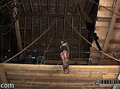 Lusty Collaring Ravishes Naughty Curvy Sweetheart