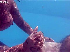 holiday pool threesome with busty blonde brunette milf and curvy babe they kiss lick wet pussies and fuck monster cocks