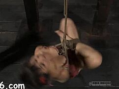 Bound captives endure intense rope restraints and submission play in hd bondage scenes
