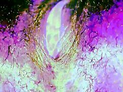 Out-of-this-World Solo Pleasure Session 2