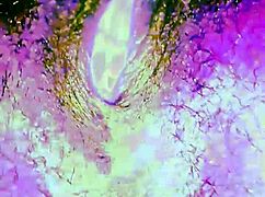 Out-of-this-World Solo Pleasure Session 2