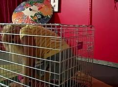 Scott Rhodes Frees Maxine X's Throat for Brutal Face Fucking and Squirting