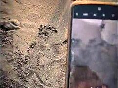 unknown beach babe gives public blowjob to muscular stranger