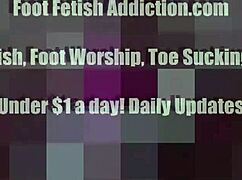 blonde femdom babe teases you to worship her silky feet fetish