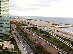 this ladyboy fucks like a champ with her big cock