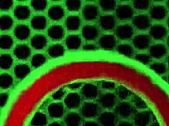 Lusty Rome Major Pounds Alicia Reign and Selena Love Xmas Style