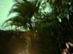 Couples Swap Partners Raw Play