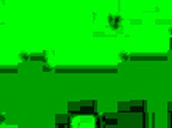 Watch These Bound Slaves Gagged And Hogtied In Painful Lezdom Torment!!