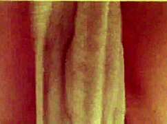 i'm in the bathroom playing with my big clit an hairy wet pussy on the toilet ughh so tighttt