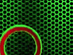 BUSTY LILLY HALL OILS BODY FOR ROME MAJOR'S BIG BLACK COCK BANG