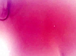 freeze twin partners big bust hunt?