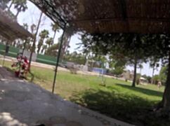 naked park flash teases stepdad's cock as strangers stare