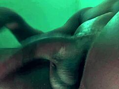horny african breeder strokes massive bbc close up till busting