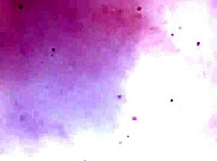 petite latina big tits teen creampie missionary pounding after school tight skinny orgasm