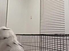 i needed that bbc pounding my ass bareback deep