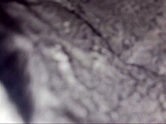 Latina Takes Black Bareback Backshots Bent Over Shaved Pussy