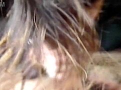 Big Hard Cock Sucking Till Cumshot in My Hungry Mouth