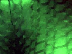 big booty wife shakes ass dances teasingly with huge tits milf amateurs