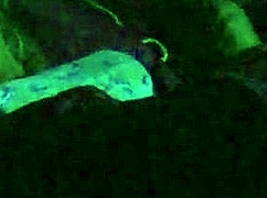 tiny cytherea rides cowgirl missionary squirts shaved pussy until thick facial cumshot