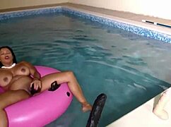 maxine dives into the pool for a fun swim