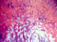 god i want your cock deep in my juicy ebony pussy riding you cowgirl outside dripping wet