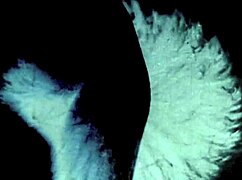 Vintage taboo fantasy unfolds with hairy mature stepmother in retro beaver scene