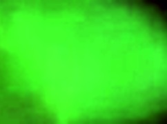 ever wondered how this sexy young ecuadorian takes bbc deep in hidden motel pov? her juicy shaved pussy moans for monster interracial doggystyle 🍆💦