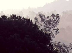 private teen rebecca volpettis anal swallow got me messd up