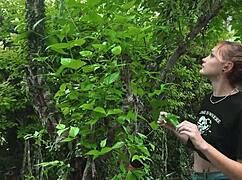 teasing her pretty feet with some playful punishment outdoors