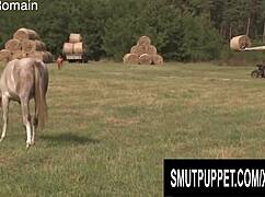 smut puppet milfs deepthroat blowjobs in outdoor european oral compilation
