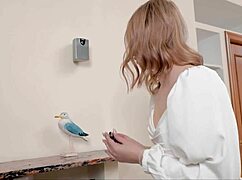 Brunette Shoves Toy Deep in Shaved Pussy