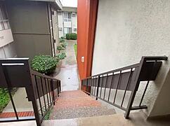 rose lynn begs rome majors to cum all over her face after pounding