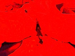 chubby bbw wife screams through multi orgasms from toy and sawzall drilling