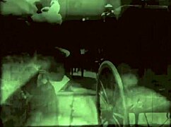 Vintage erotic drawings reveal hairy beavers in retro antique style