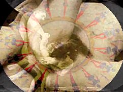 Vintage erotic drawings reveal hairy beavers in retro antique style