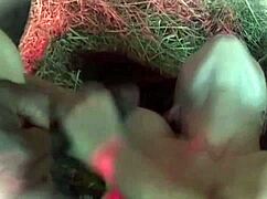 threesome stable fun with white cock and bbc pounding her wet! 🍆🐴💦