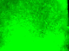 mohana's south indian bath caught on hidden cam feels so naughty.