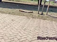 whoa teacher jerking off student's cock in park 😲 people walking by everywhere - misscreamy