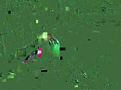 your tiny cock's the smallest ever, total sph humiliation