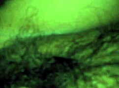 Follando Duro con Mi Mujer Peruana