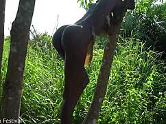 horny tribe girl pulls you by dick to tree for outdoor forest fuck