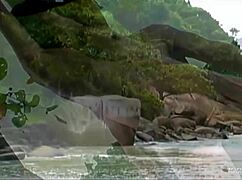 Brunette Craves Beach Anal with Naughty Partner's Big Cock!