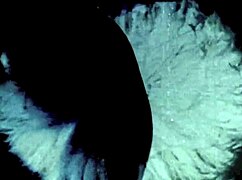 Vintage lesbians reveal hairy secret lives in retro passion