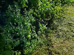 sandra you dirty german milf whore show us your croatian prostitute skills on mre nica