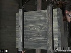 you into EXTREME sadomasochism? watch these twisted fucks push limits with pain and pleasure