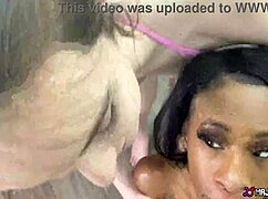 hey hazel moore you ready for mini stallion and rome major's big cocks in pool threesome?