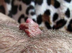Huge Clit Pulses in Extreme Closeup Orgasm on Shaved Pussy