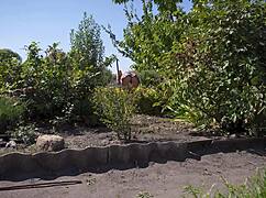 I'm spying on that hot neighbor's garden upskirt tease right now