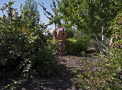 I'm spying on that hot neighbor's garden upskirt tease right now